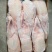 红头鸭，养殖时间在8个月，肉质紧实营养丰富，卤食可用。