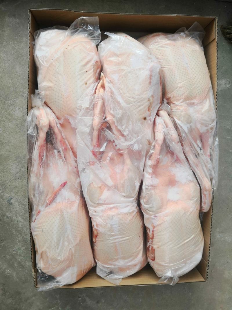 红头鸭，养殖时间在8个月，肉质紧实营养丰富，卤食可用。