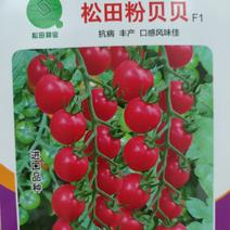 粉贝贝粉果番茄种子，1000粒