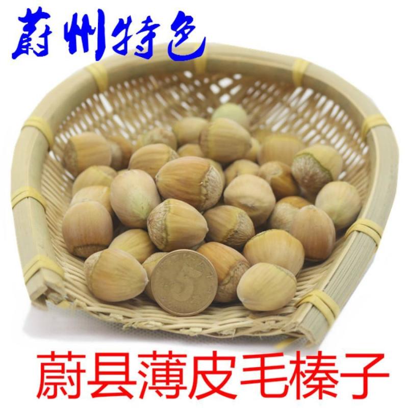 张家口特产野生开口毛榛子500g特价蔚县新货原味干果包邮