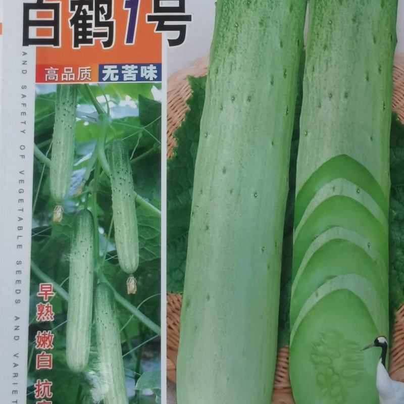 黄瓜种子白鹤1号新一代高品质无苦味早熟品种