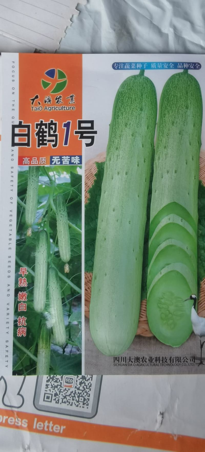 黄瓜种子白鹤1号新一代高品质无苦味早熟品种