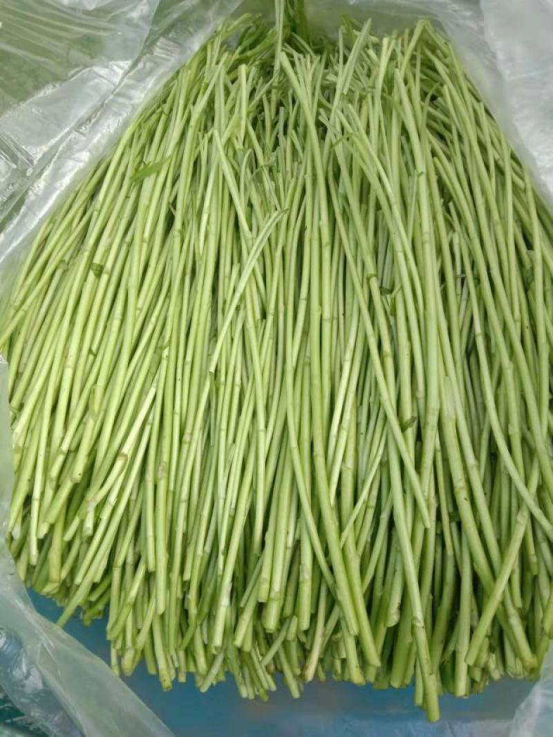 新鲜芦蒿泥蒿应季蔬菜净菜黎蒿