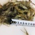 鲜活河虾，大量供应，各种规格，保证质量一手货源