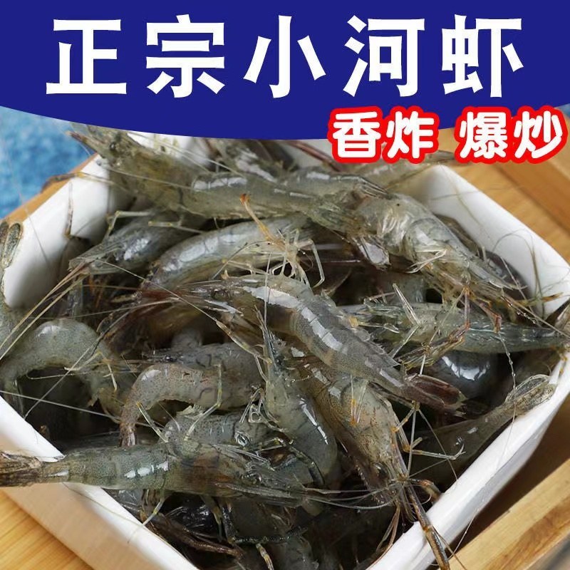 鲜活河虾，大量供应，各种规格，保证质量一手货源
