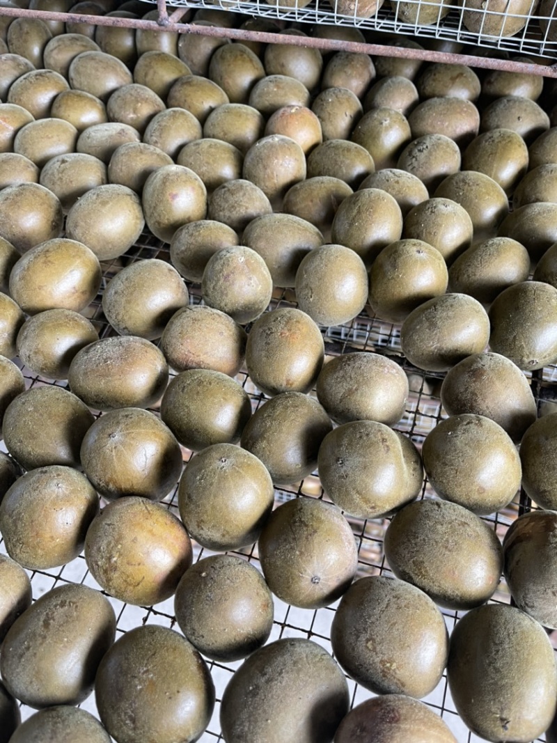 罗汉果：恒温电烤果（单个包装）桂林产地优质果批发