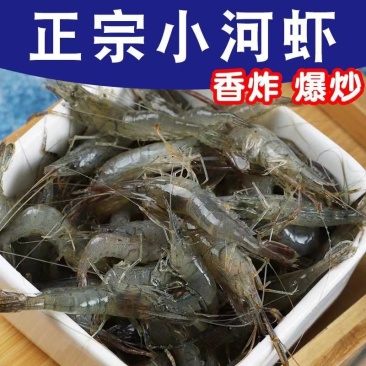 鲜活河虾，大量供应，各种规格，保证质量一手货源