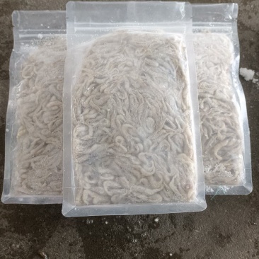 精品速冻板河虾:米虾:全国发货:产地湖北潜江:黄卫国水产