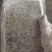 精品速冻板河虾:米虾:全国发货:产地湖北潜江:黄卫国水产