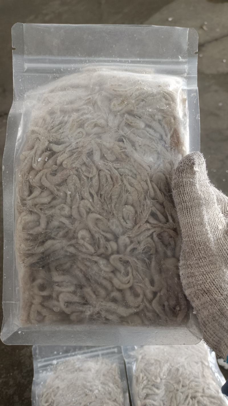 精品速冻板河虾:米虾:全国发货:产地湖北潜江:黄卫国水产