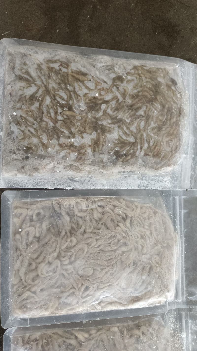 精品速冻板河虾:米虾:全国发货:产地湖北潜江:黄卫国水产
