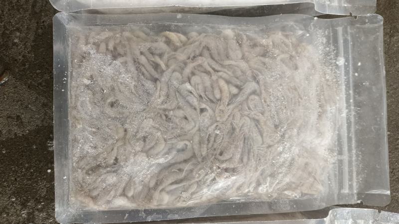 精品速冻板河虾:米虾:全国发货:产地湖北潜江:黄卫国水产