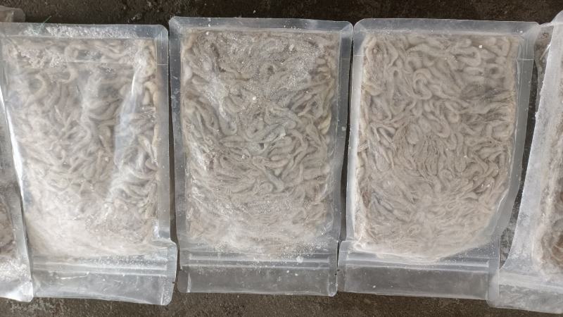 精品速冻板河虾:米虾:全国发货:产地湖北潜江:黄卫国水产