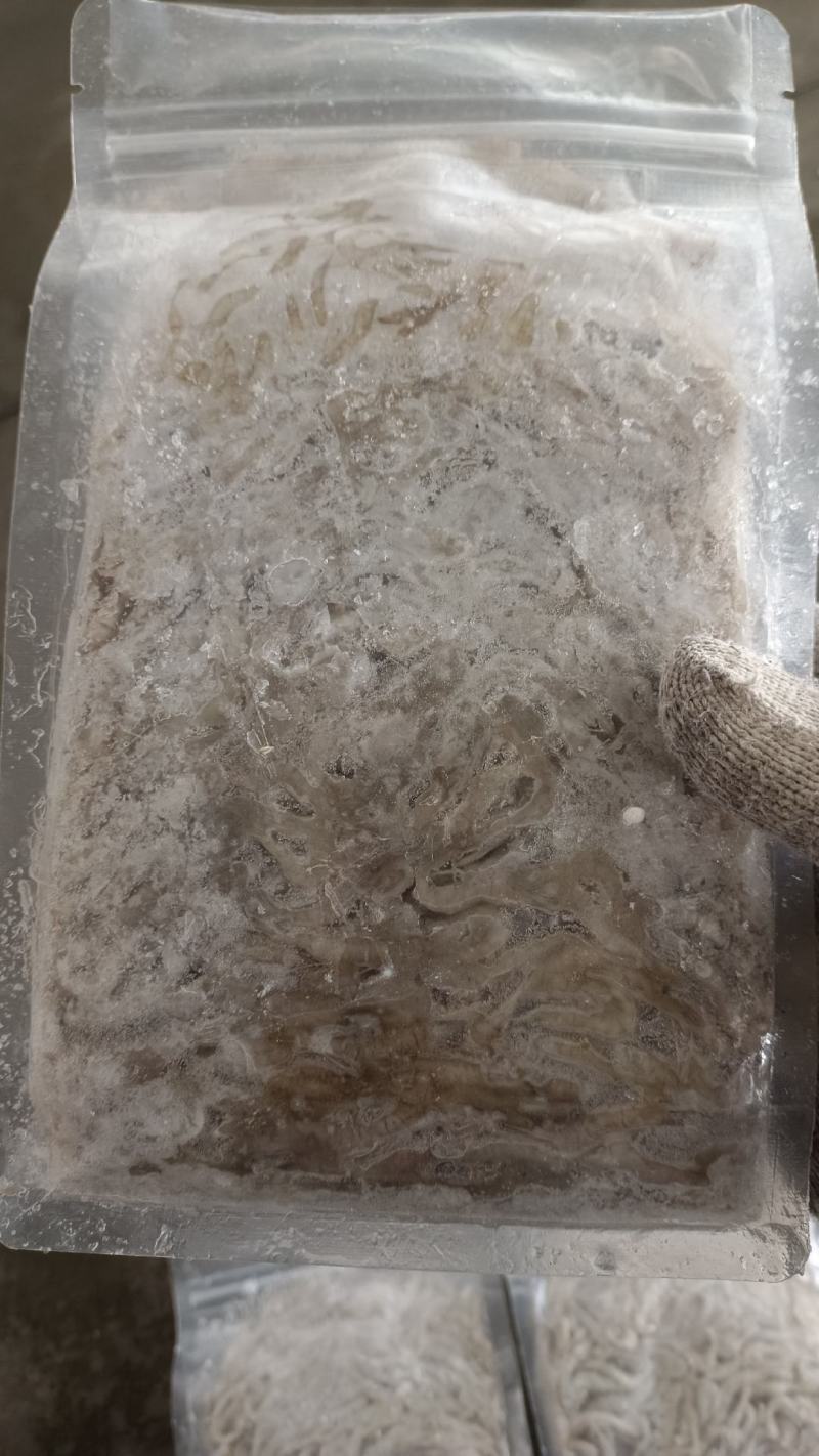精品速冻板河虾:米虾:全国发货:产地湖北潜江:黄卫国水产