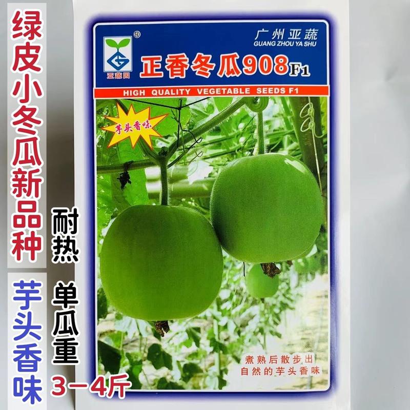 香芋味绿皮小冬瓜种子新品种正香小冬瓜种子耐热杂交一代品种