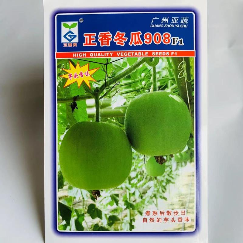 香芋味绿皮小冬瓜种子新品种正香小冬瓜种子耐热杂交一代品种