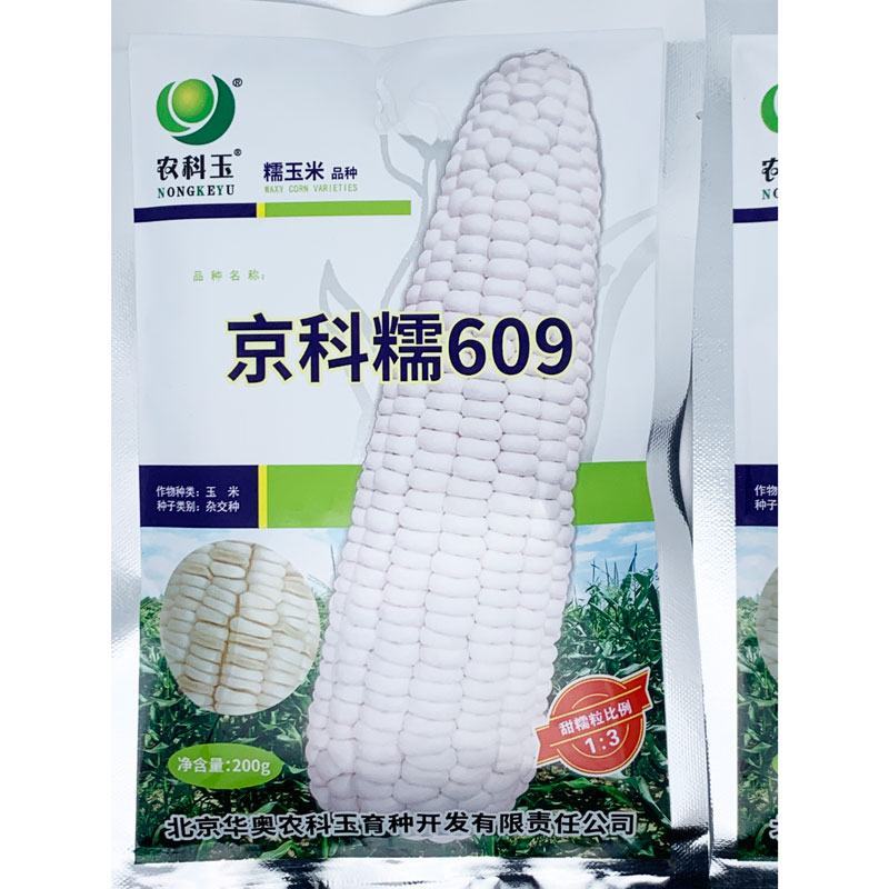 农科玉京科糯609白甜糯玉米种子绿皮大棒鲜甜糯366玉米