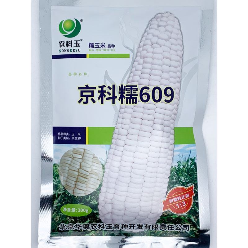 农科玉京科糯609白甜糯玉米种子绿皮大棒鲜甜糯366玉米