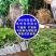 无纺布育苗袋营养袋批发可降解营养钵一次性植树袋容器杯加厚
