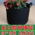 无纺布美植袋热销可降解植树袋批发控根器阳台种菜花盆园艺种