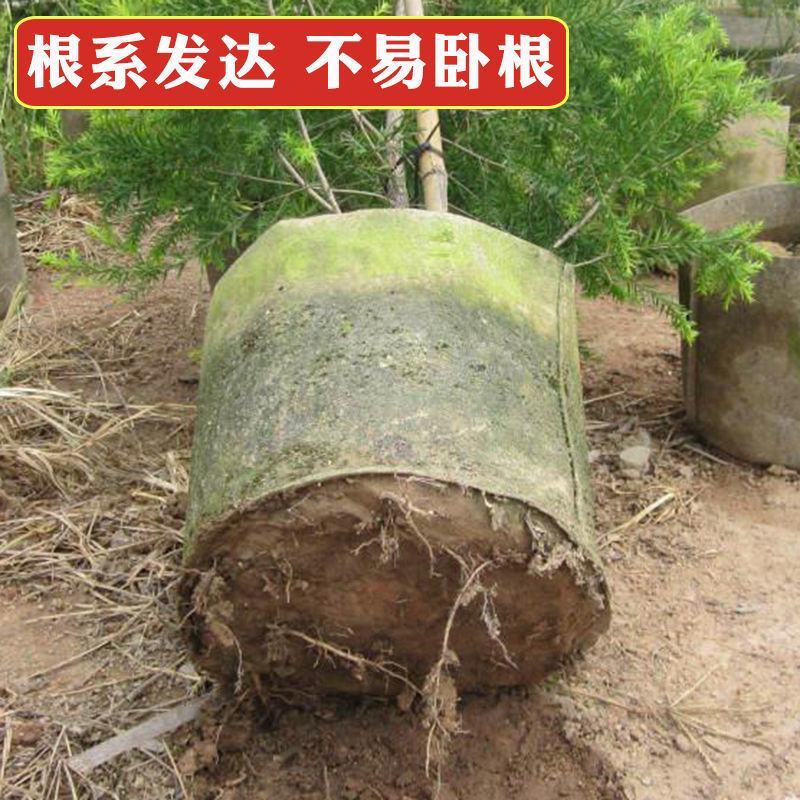 无纺布美植袋热销可降解植树袋批发控根器阳台种菜花盆园艺种