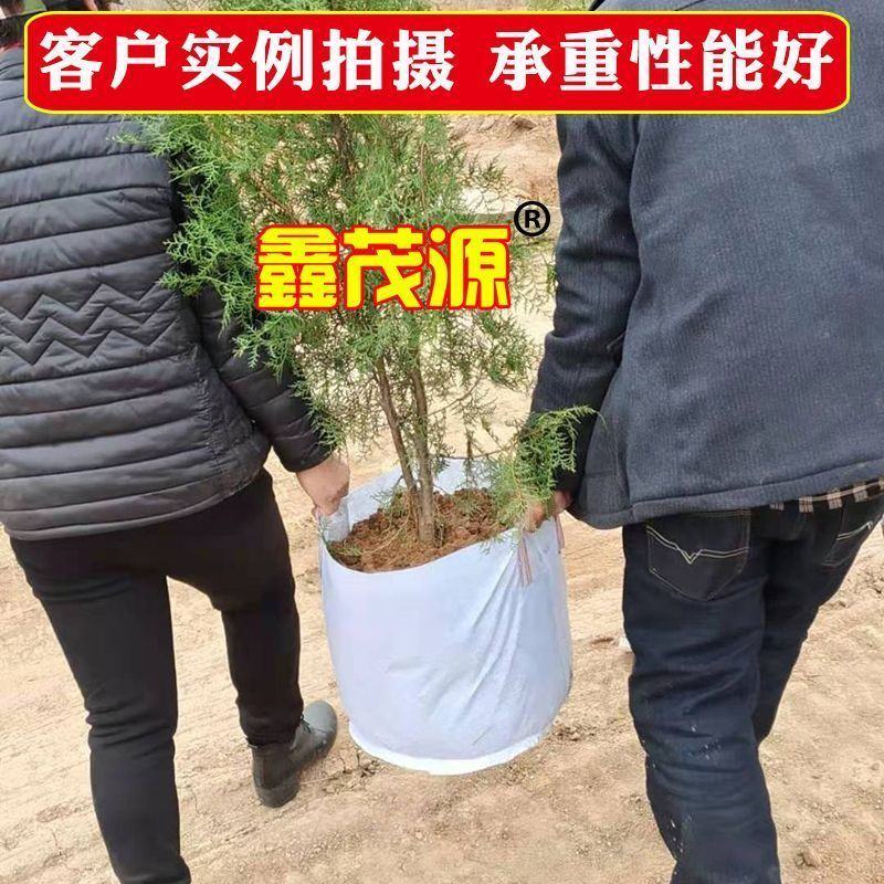 无纺布美植袋热销可降解植树袋批发控根器阳台种菜花盆园艺种