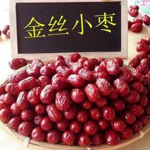 新货乐陵金丝小红枣农家自产自销孕妇零食金丝小枣优质散装红