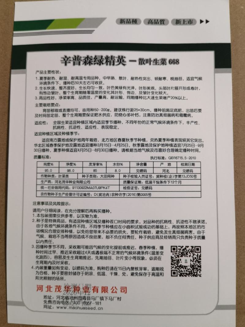 辛普森绿精英668散生生菜种子，耐热耐抽苔，黄绿色大叶