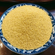 热销（实力供货）辽宁特产黄小米，自产自销