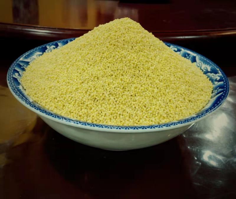 热销（实力供货）辽宁特产黄小米，自产自销