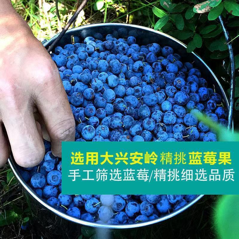 【无糖】大兴安岭野生蓝莓干无添加无糖渍烘焙孕妇蓝梅干果