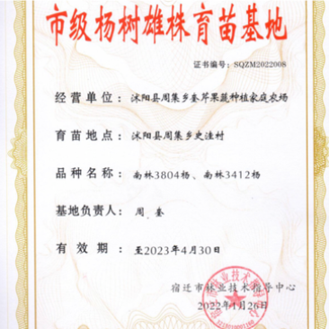 4公分特价南林3804南林3412