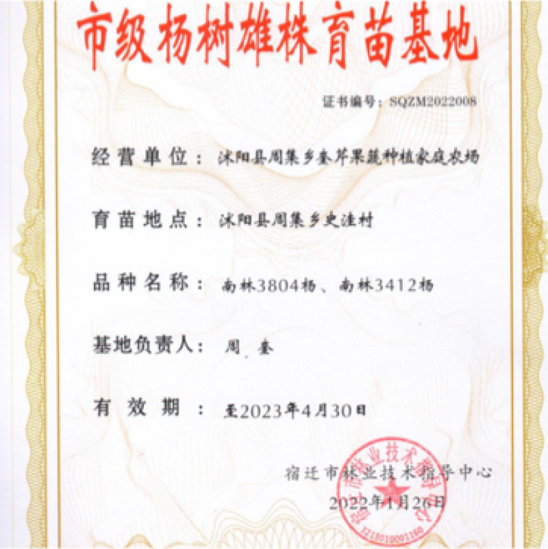 中红杨源头产地提供品种认证书南林3804，南林3412