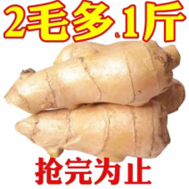 鲜姜生姜批发老姜正宗水洗风干无土河北大黄姜新鲜优质干姜