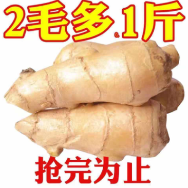 鲜姜生姜批发老姜正宗水洗风干无土河北大黄姜新鲜优质干姜