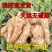鲜姜生姜批发老姜正宗水洗风干无土河北大黄姜新鲜优质干姜