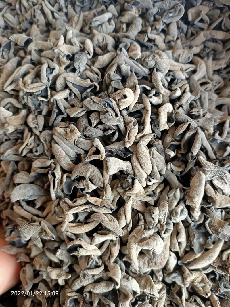 【优选】黑厚小碗耳无蒂无杂质泡发率高肉质敦厚口感爽滑