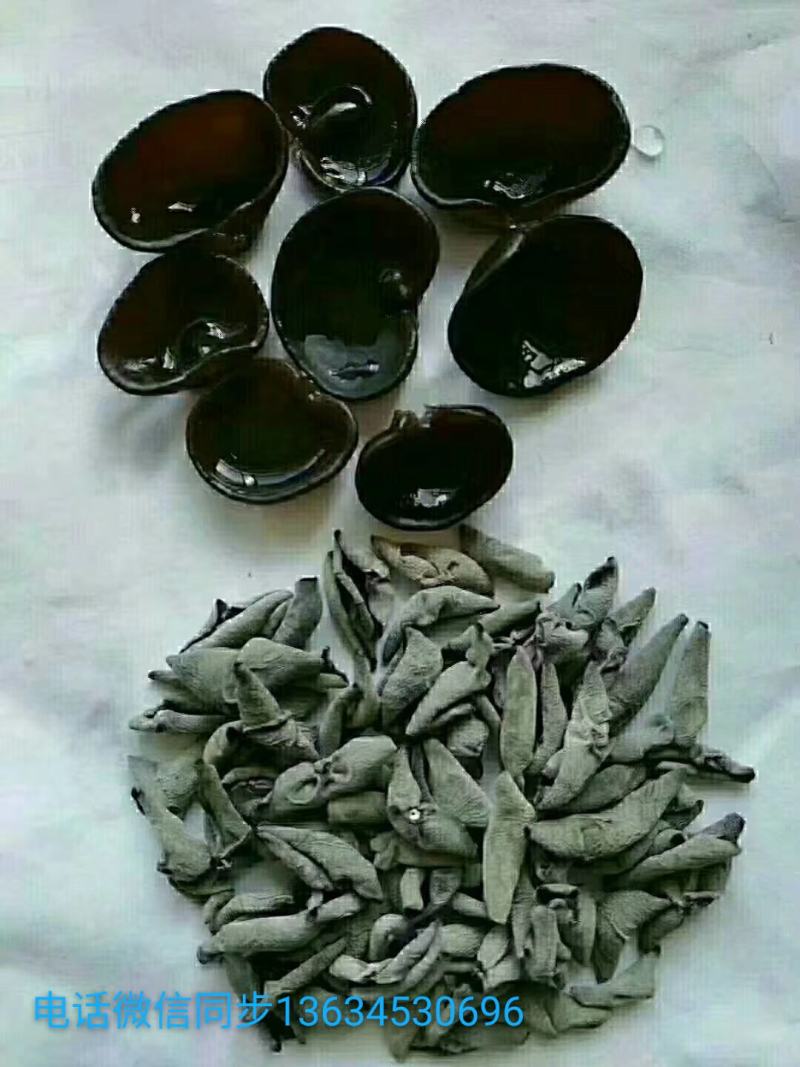 秋耳小碗耳，圆边黑厚，支持一件代发！长期有货！量大优惠