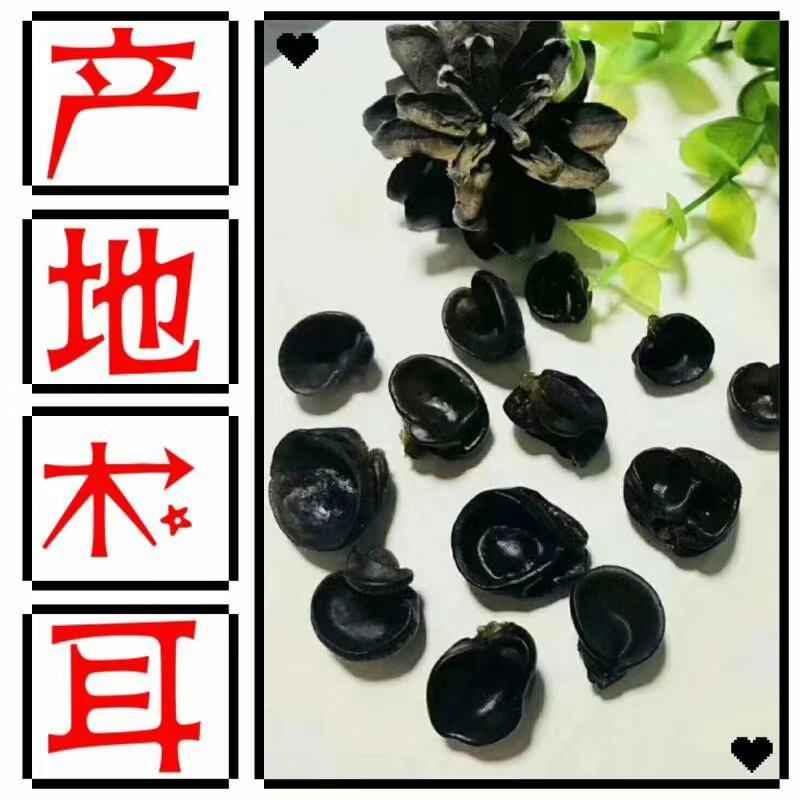 秋耳小碗耳，圆边黑厚，支持一件代发！长期有货！量大优惠