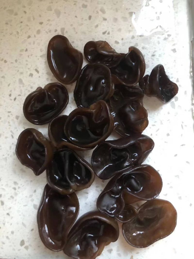 秋耳小碗耳，圆边黑厚，支持一件代发！长期有货！量大优惠