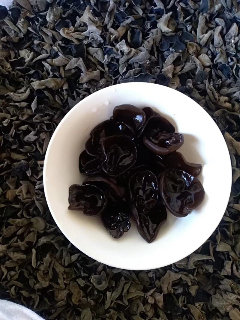 秋耳小碗耳，圆边黑厚，支持一件代发！长期有货！量大优惠