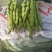大量出售大青豆，无颈豆，四季豆，扁豆