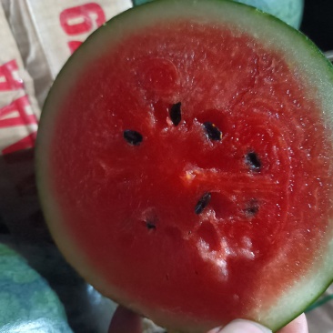 黑美人