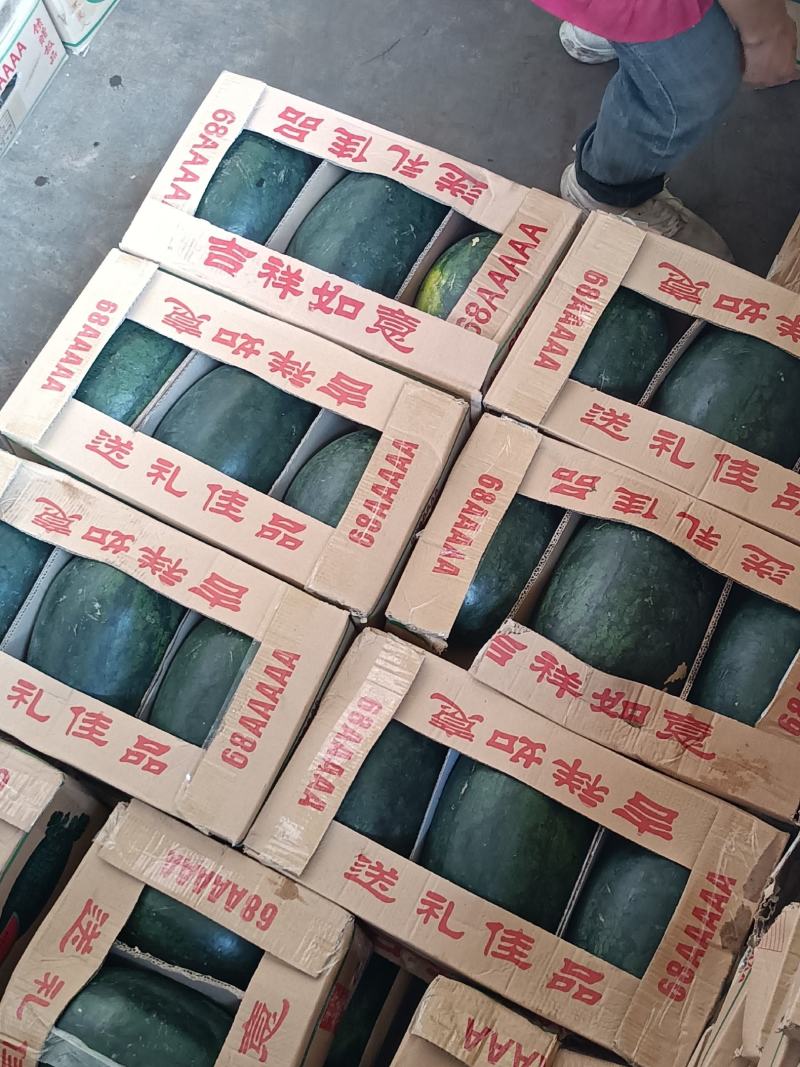 黑美人