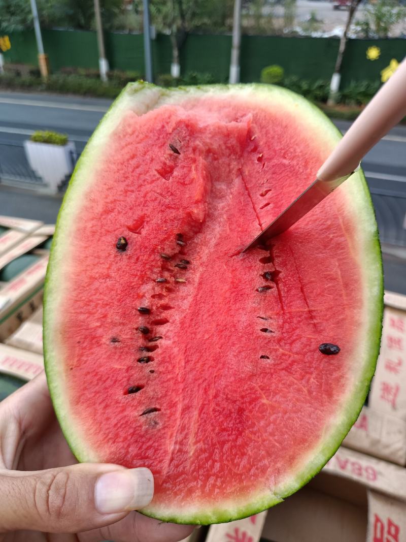 黑美人