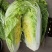大白菜新鲜白菜品种多样市场超市**走货量大一条龙服务