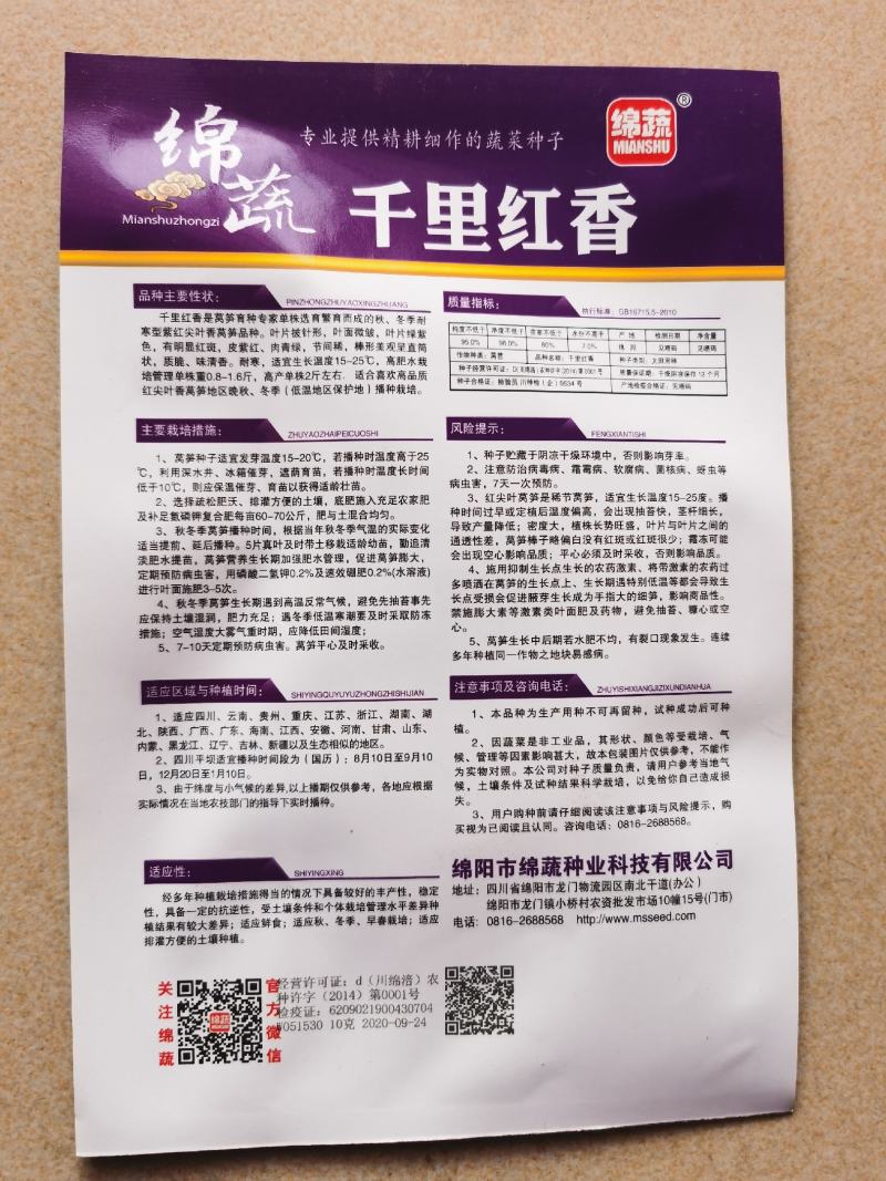 红莴苣种子莴笋紫绿笋秋冬莴笋种子耐寒红皮莴笋种籽