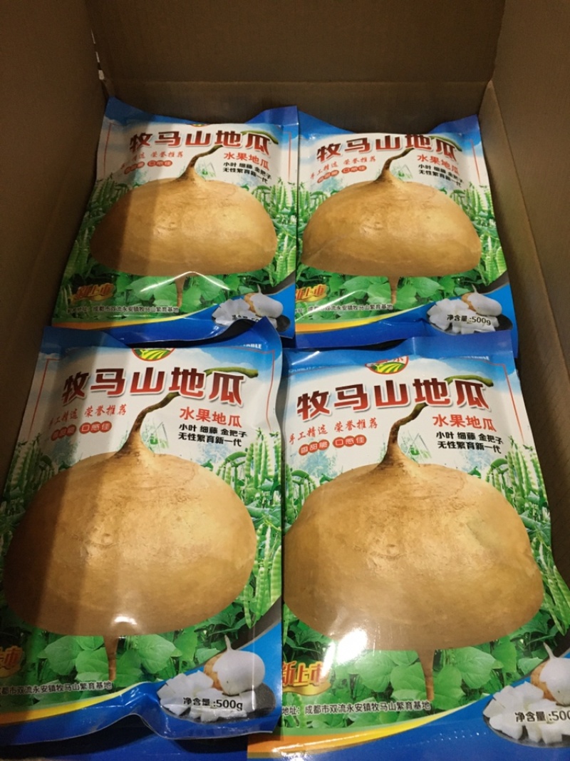 四川牧马山地瓜、凉薯种子。牧马山基地全国直销。