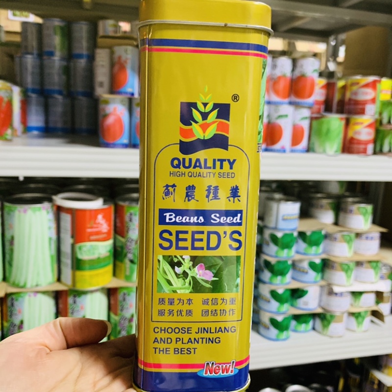 盛世小金豆种子基地专用红花青荚架豆种子圆形荚四季豆种子