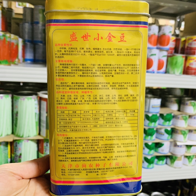盛世小金豆种子基地专用红花青荚架豆种子圆形荚四季豆种子